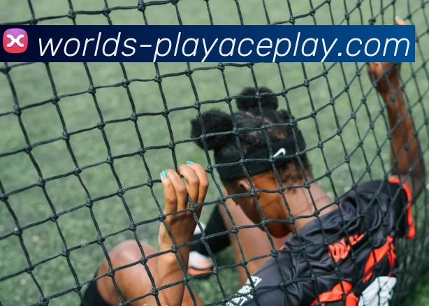 PLAYACE官网平台生态图